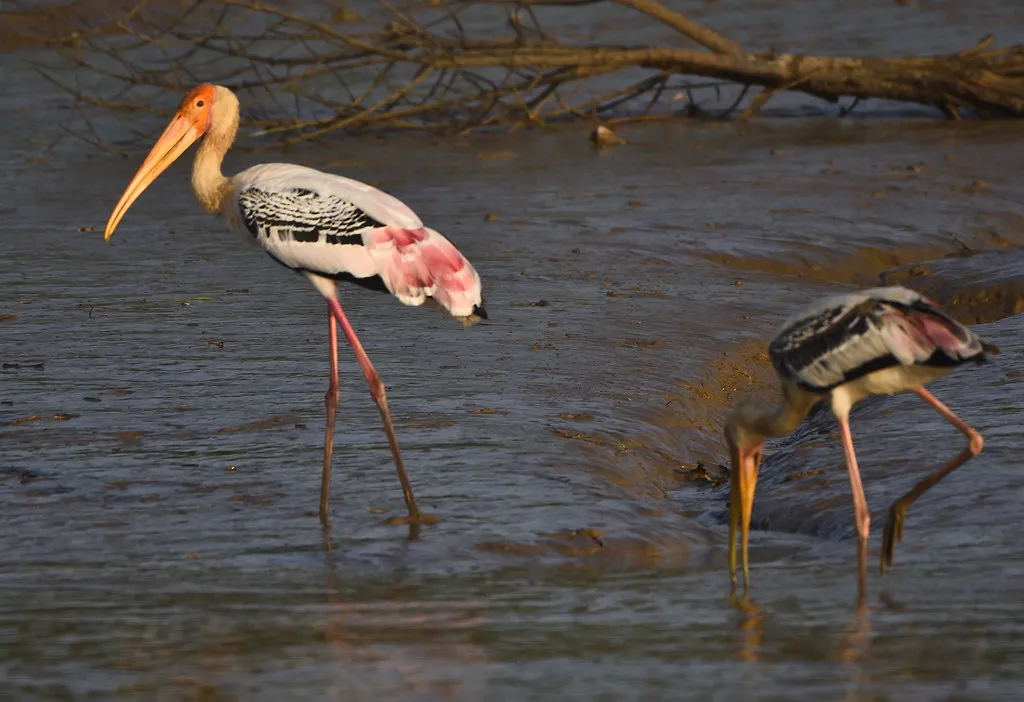 Best Travel Agency in Bhubaneswar, Best Travel Agency in Jagatsinghpur